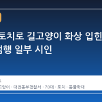 대전서 토치로 길고양이 화상 입힌 70대, 범행 일부 시인