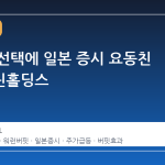 버핏의 선택에 일본 증시 요동친 도쿄마린홀딩스