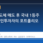 미국 반도체 매도 후 국내 1등주 매수, 개인투자자의 포트폴리오 재편