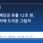 외국인 배당금 유출 12조 원, 원화 가치에 드리운 그림자