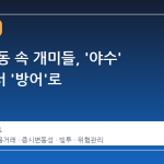 증시 요동 속 개미들, '야수' 모드에서 '방어'로