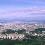 대전 동구, 두부두루치기의 정석을 만나다