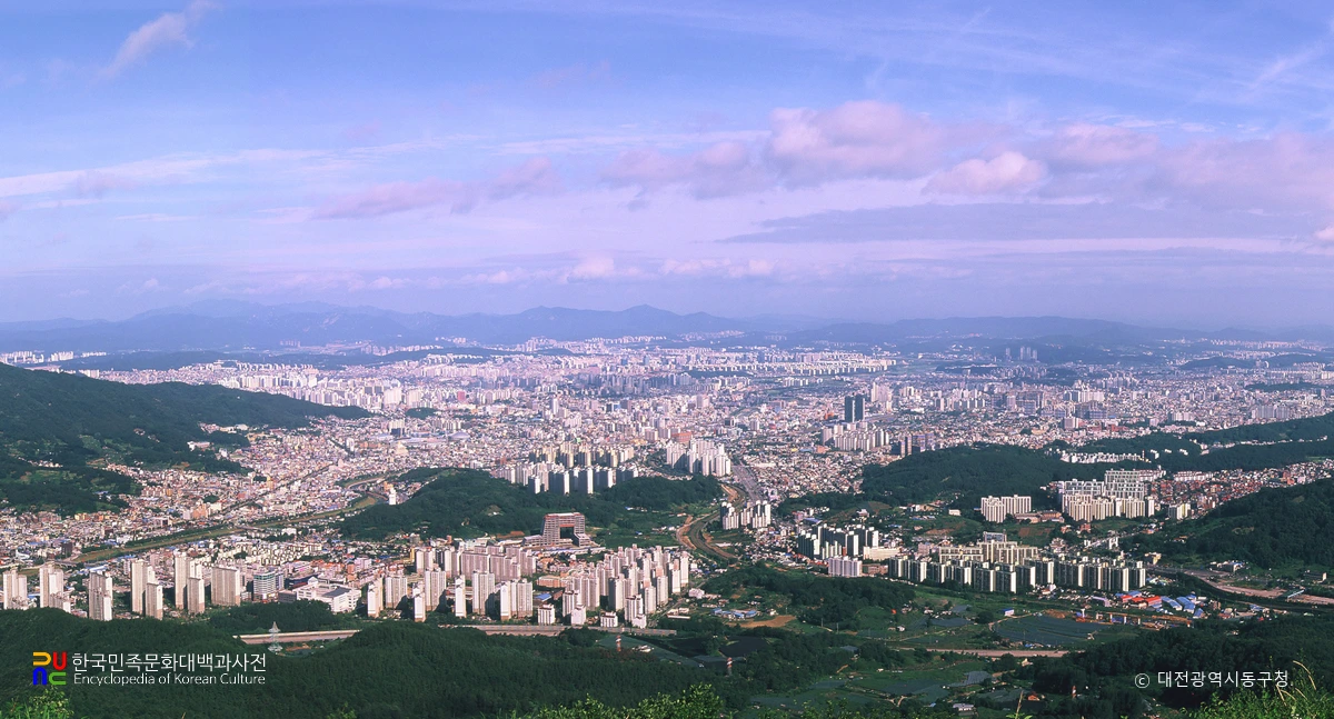 대전 동구, 두부두루치기의 정석을 만나다