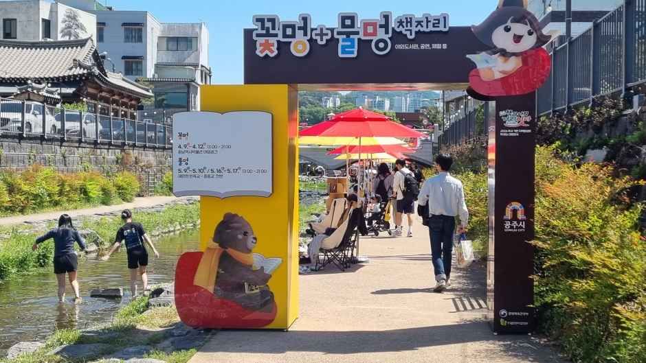 공주 제민천에서 만나는 5 월의 독서 휴식, 꽃멍+물멍 책자리 2026 일정과 변화점