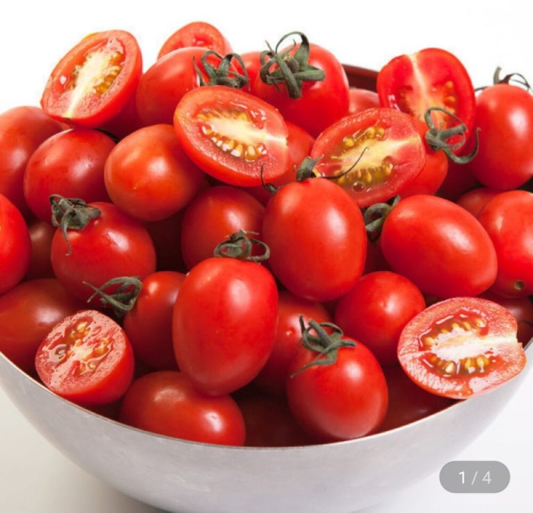 봄철 식탁을 밝히는 단맛의 비밀, 국내산 대추방울토마토가 뜨는 이유