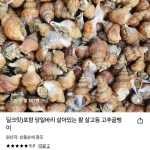포항 당일바리 활 골뱅이, 7천 원대 가격에 온라인 커뮤니티가 들썩인 이유