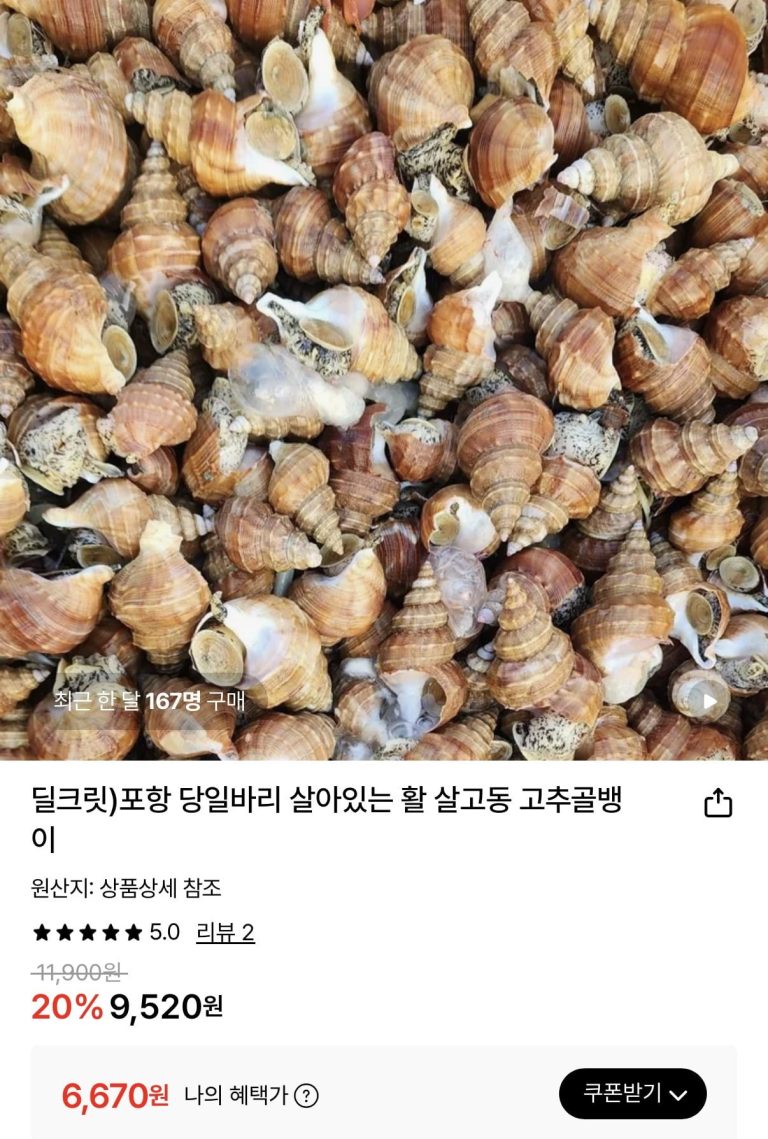 포항 당일바리 활 골뱅이, 7천 원대 가격에 온라인 커뮤니티가 들썩인 이유