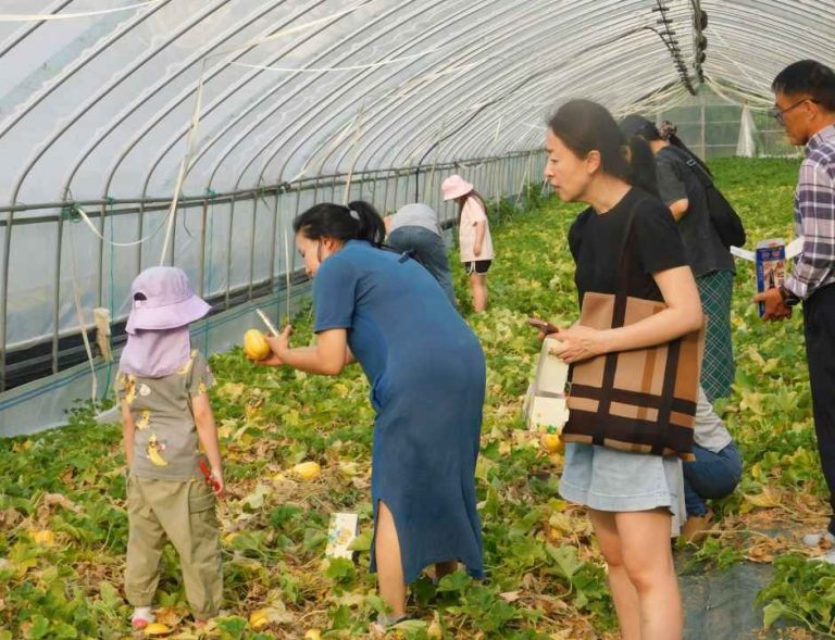 2026 금사참외축제, 5 월 22 일 금사근린공원서 개막…청소년 뮤직 페스티벌과 깜짝 경매로 변신