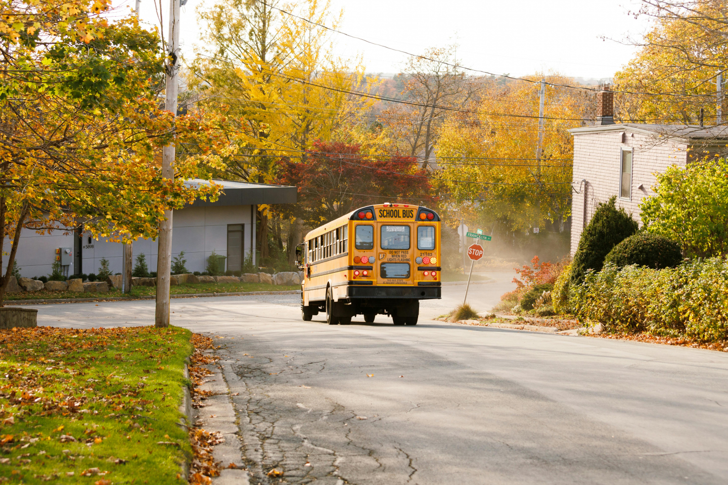10 년의 일상이 멈춘 순간, '저드슨의 마지막 버스'가 전하는 사회적 울림