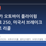 중국 저가 오토바이 플라이윙 스네이크 250, 미국서 브레이크 결함으로 리콜