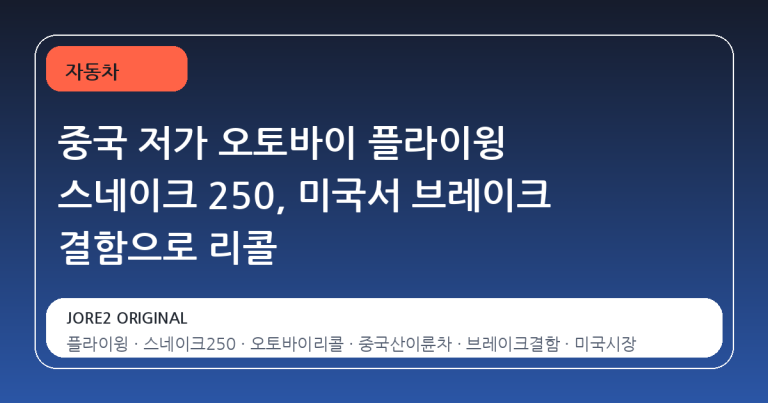 중국 저가 오토바이 플라이윙 스네이크 250, 미국서 브레이크 결함으로 리콜