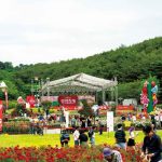 5 월 울산대공원 장미축제, 300 만 송이 꽃밭과 야간 조명이 만드는 도심 속 낭만