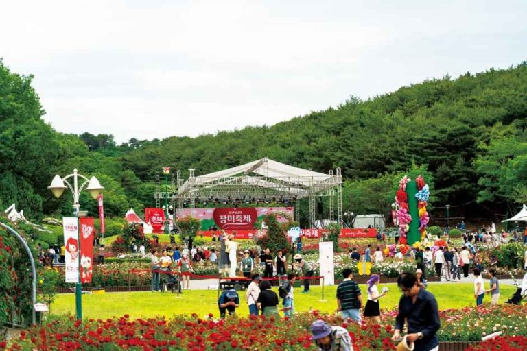 5 월 울산대공원 장미축제, 300 만 송이 꽃밭과 야간 조명이 만드는 도심 속 낭만