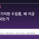 차 안의 기이한 수집품, 왜 지금 화제가 되는가