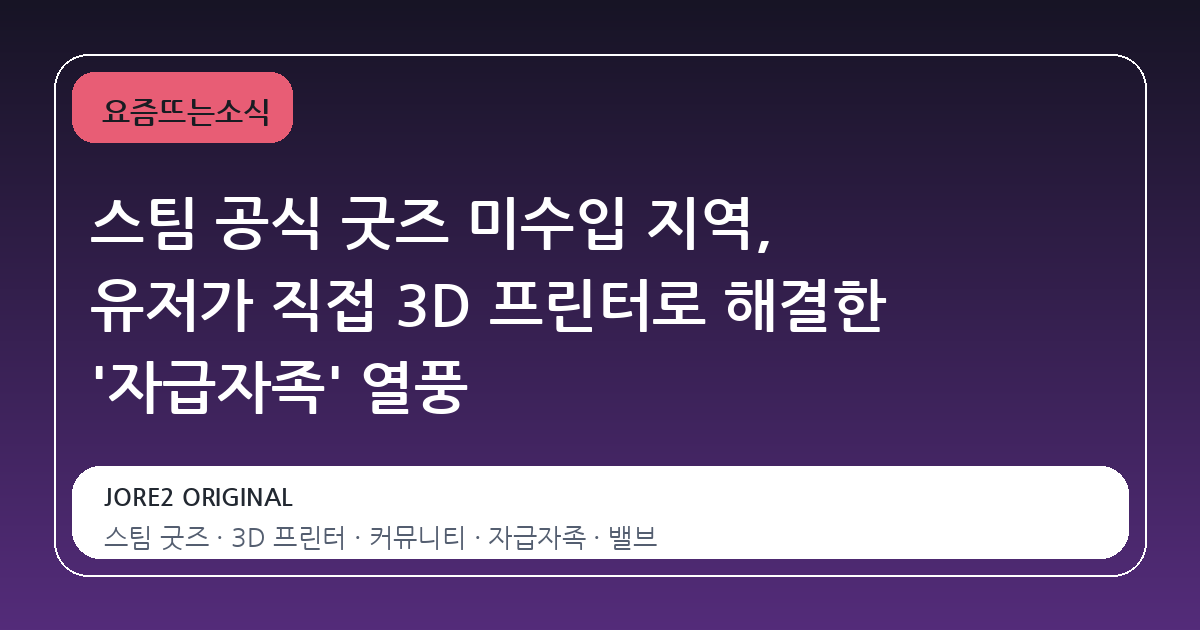스팀 공식 굿즈 미수입 지역, 유저가 직접 3D 프린터로 해결한 '자급자족' 열풍
