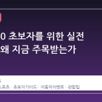 인디 500 초보자를 위한 실전 가이드, 왜 지금 주목받는가