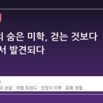 프라하의 숨은 미학, 걷는 것보다 앉는 데서 발견되다
