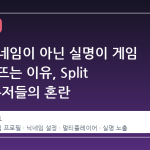 스팀 닉네임이 아닌 실명이 게임 로비에 뜨는 이유, Split Gate 유저들의 혼란