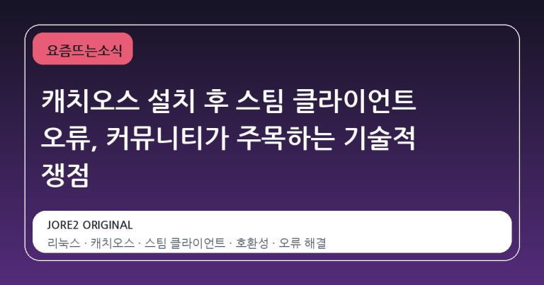 캐치오스 설치 후 스팀 클라이언트 오류, 커뮤니티가 주목하는 기술적 쟁점