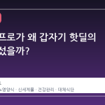 당플랜 프로가 왜 갑자기 핫딜의 중심에 섰을까?