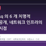 dnsmasq 의 6 개 치명적 취약점 공개, 네트워크 인프라의 재평가 시점
