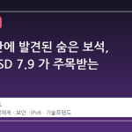27 년 만에 발견된 숨은 보석, OpenBSD 7.9 가 주목받는 이유