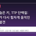노화의 숨은 키, TTP 단백질: 마른 쥐가 다시 힘차게 움직인 과학적 발견