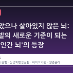 죽지 않았으나 살아있지 않은 뇌: 신약 개발의 새로운 기준이 되는 '분리된 인간 뇌'의 등장