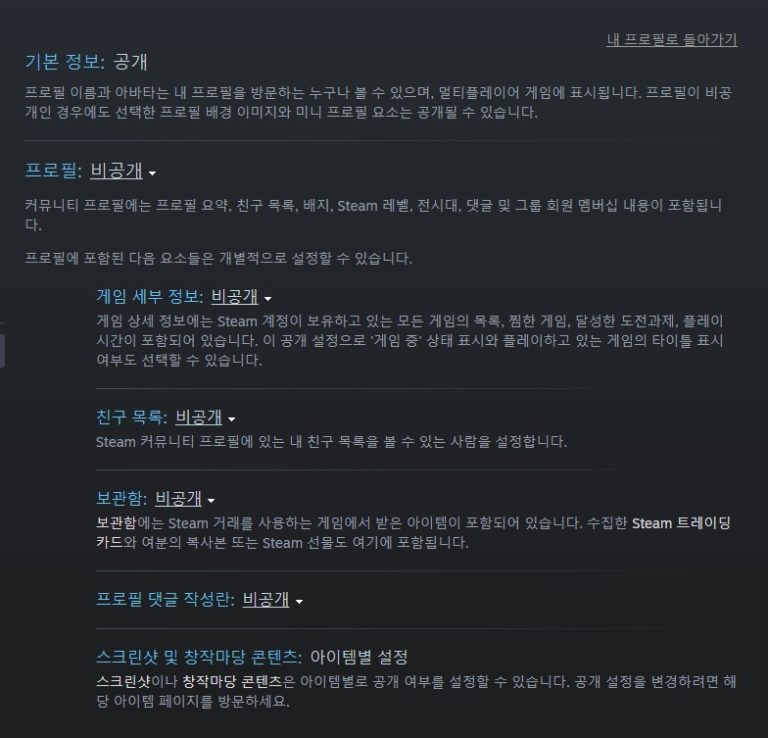 스팀 활동 피드 숨김 설정의 함정: 구매 내역은 가리고 플레이 시간은 남기는 방법