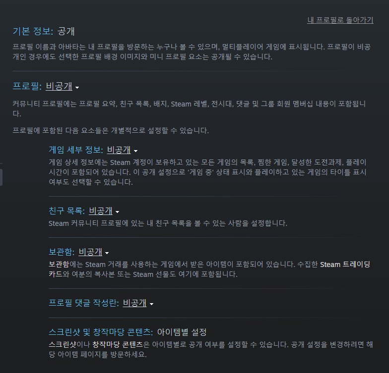 스팀 활동 피드 숨김 설정의 함정: 구매 내역은 가리고 플레이 시간은 남기는 방법
