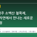 2026 영주 소백산 철쭉제, 산악형 자연에서 만나는 새로운 봄의 여정