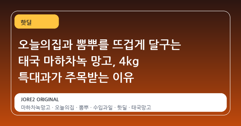 오늘의집과 뽐뿌를 뜨겁게 달구는 태국 마하차녹 망고, 4kg 특대과가 주목받는 이유