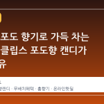 집 안이 포도 향기로 가득 차는 마법, 이클립스 포도향 캔디가 뜨는 이유