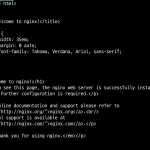 2008 년 코드에서 튀어 오른 Nginx 의 치명적 취약점, 왜 지금 세상이 떠들썩한가