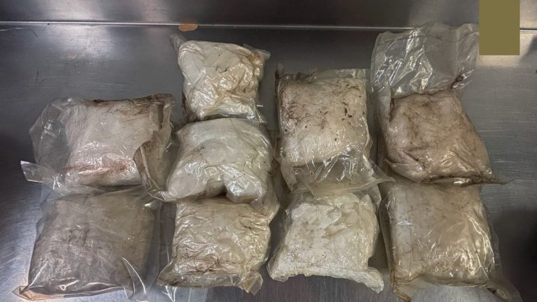 폐차장 차문에 숨겨진 4kg 메스: 한 해 묵은 중고차에서 발견된 놀라운 비밀