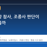 무안공항 참사, 조종사 판단이 변수였을까
