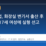 수원지법, 화장실 변기서 출산 후 방치한 17세 여성에 실형 선고