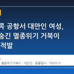 태국 방콕 공항서 대만인 여성, 몸속에 숨긴 멸종위기 거북이 30마리 적발