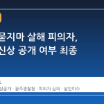 여고생 묻지마 살해 피의자, 7~8일 신상 공개 여부 최종 결정