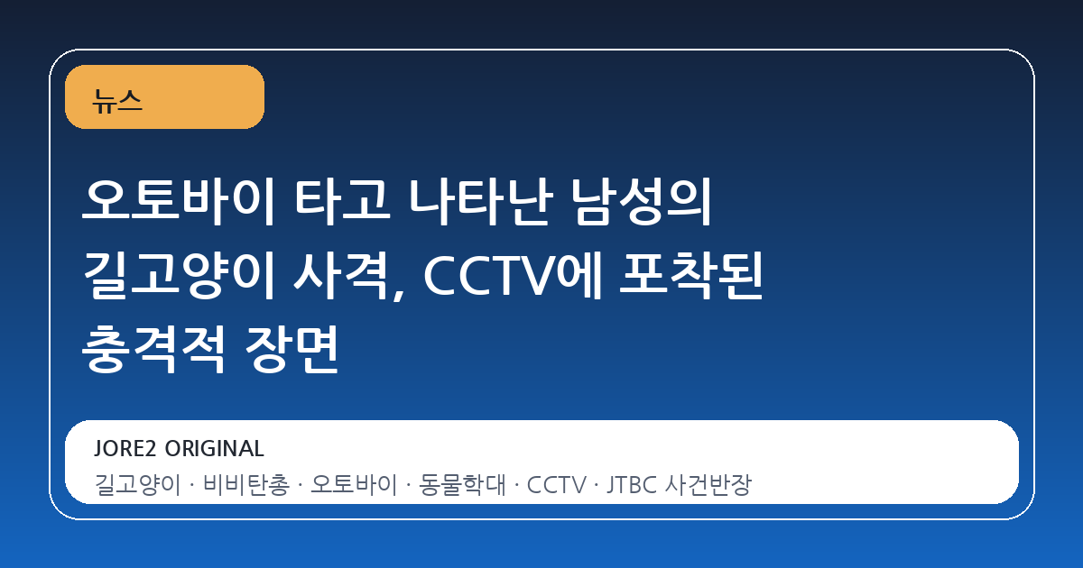 오토바이 타고 나타난 남성의 길고양이 사격, CCTV에 포착된 충격적 장면