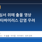 대만 도심서 쥐떼 출몰 영상 확산, 한타바이러스 감염 우려 고조