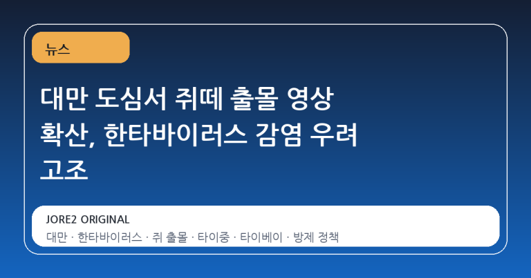 대만 도심서 쥐떼 출몰 영상 확산, 한타바이러스 감염 우려 고조