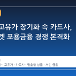고물가·고유가 장기화 속 카드사, 서민 타겟 포용금융 경쟁 본격화