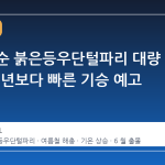 6 월 중순 붉은등우단털파리 대량 출몰, 평년보다 빠른 기승 예고