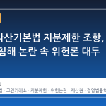 디지털자산기본법 지분제한 조항, 재산권 침해 논란 속 위헌론 대두