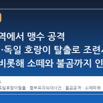 유럽 전역에서 맹수 공격 잇따라…독일 호랑이 탈출로 조련사 부상을 비롯해 소떼와 불곰까지 인명피해 확산