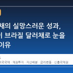 미국 국채의 실망스러운 성과, 부유층이 브라질 달러채로 눈을 돌리는 이유