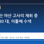 충남 논산 야산 고사리 채취 중 실종된 80 대, 이틀째 수색 난항