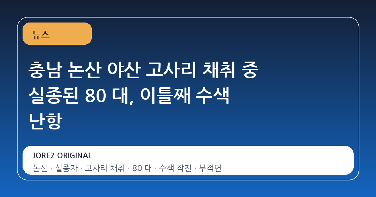 충남 논산 야산 고사리 채취 중 실종된 80 대, 이틀째 수색 난항