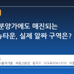 강남급 분양가에도 매진되는 노량진뉴타운, 실제 알짜 구역은?